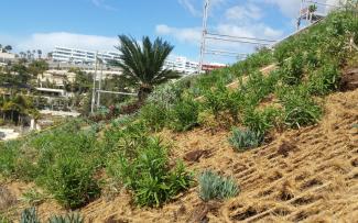 Pitched green roof with nets made of coconut fibres